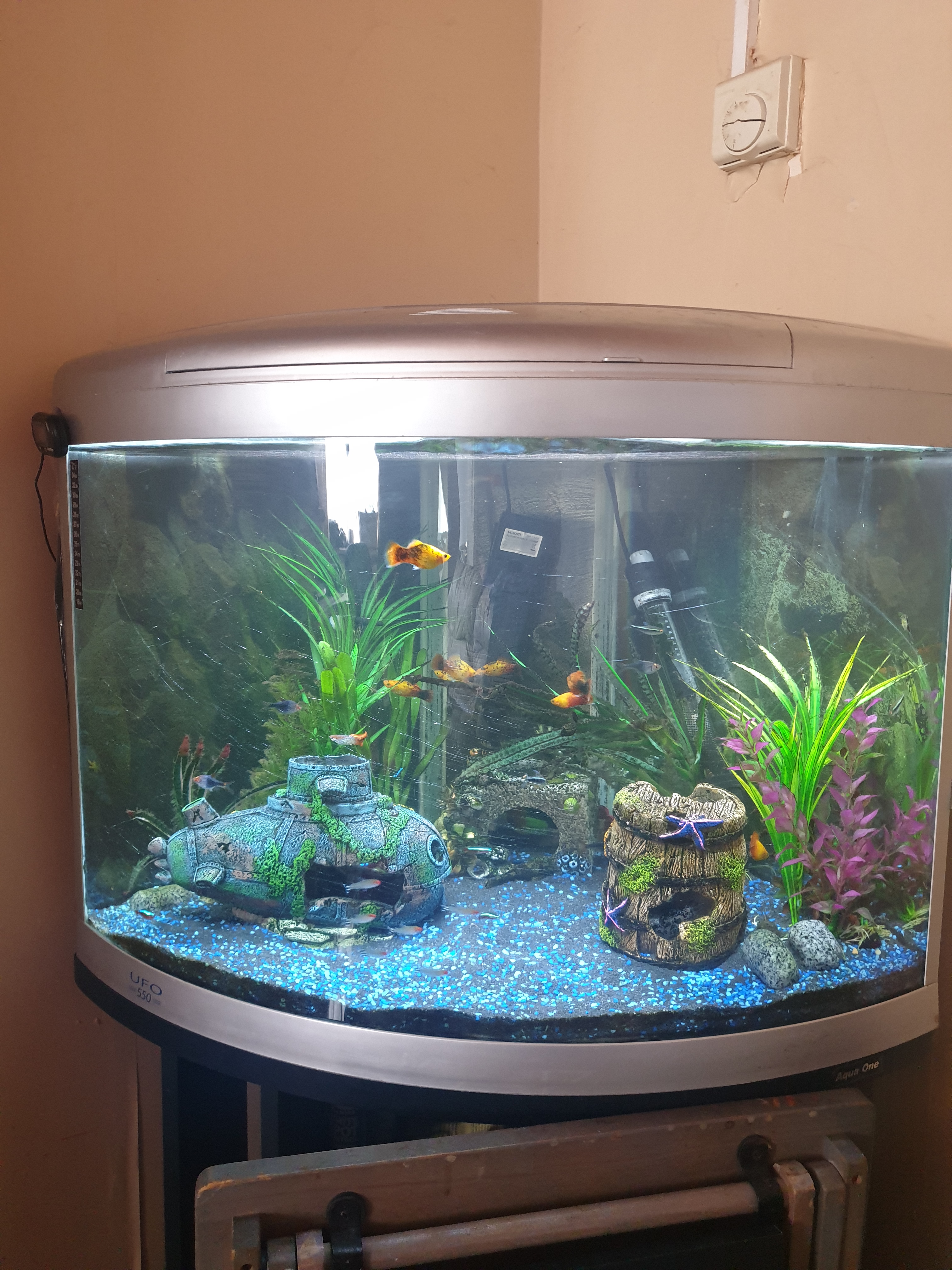 Can Fish See In The Dark? Let’s Find Out