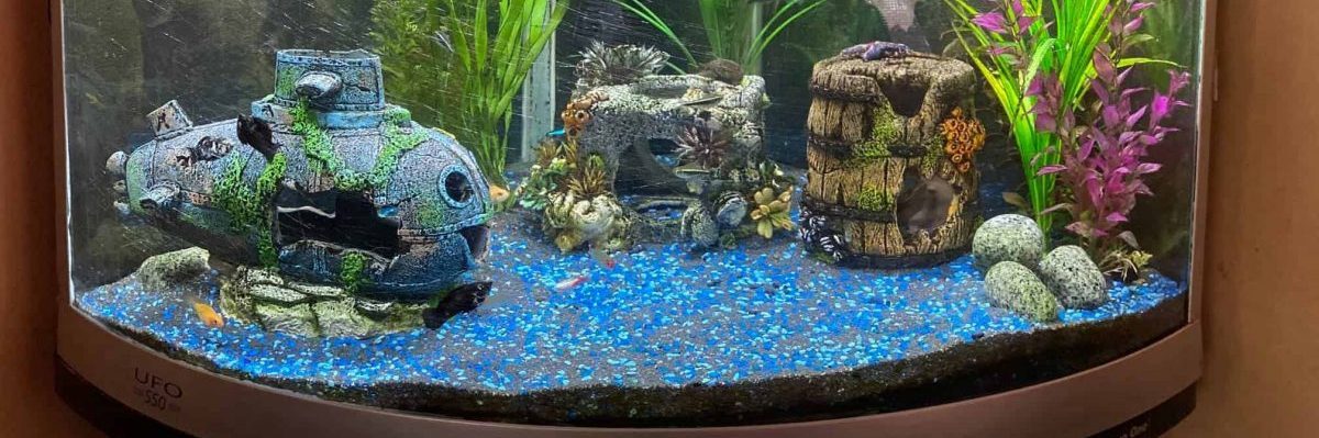 Does Aquarium Gravel Need Washing?