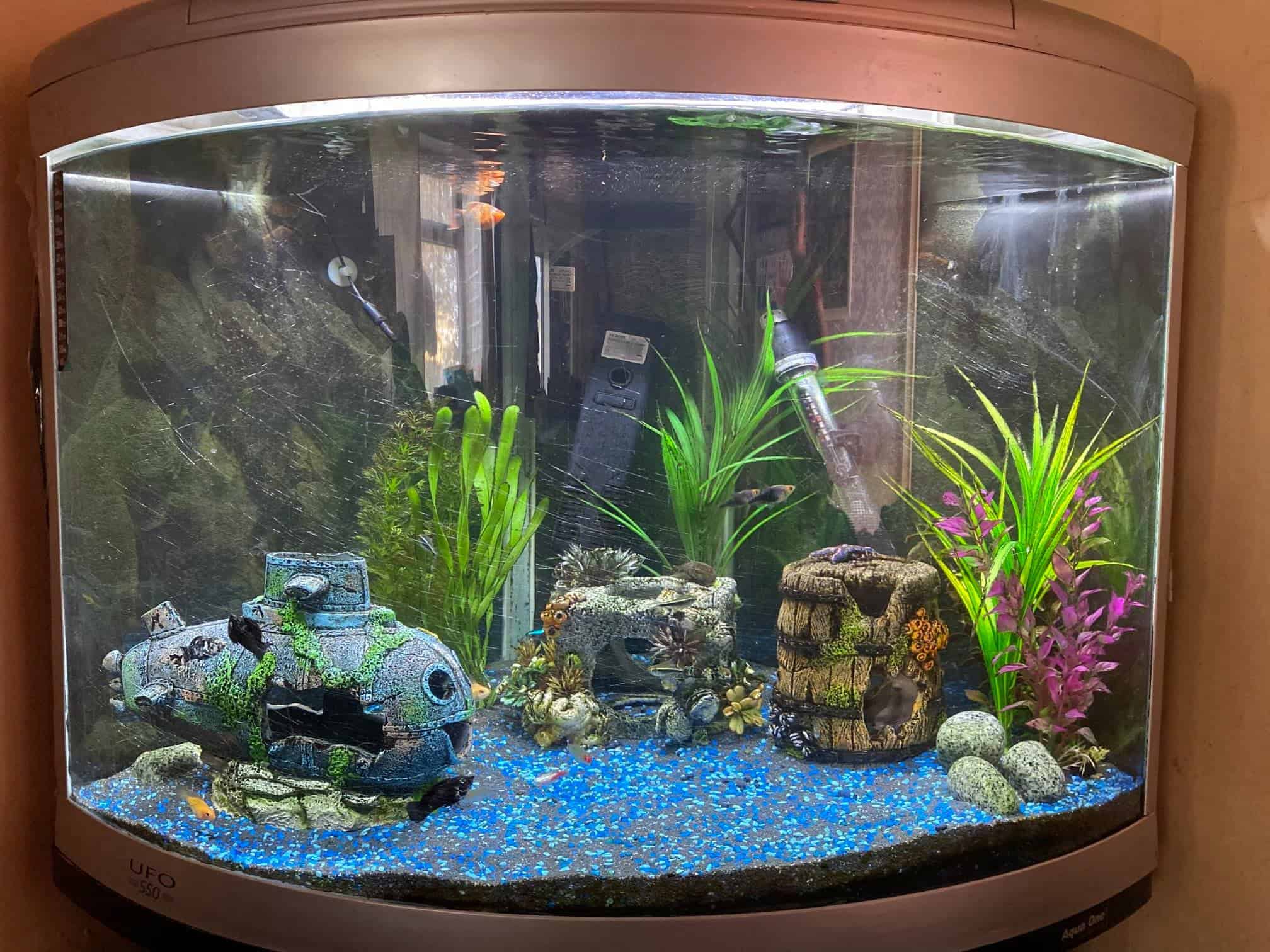 Why Is My Fish Tank Water Evaporating? Tankofish